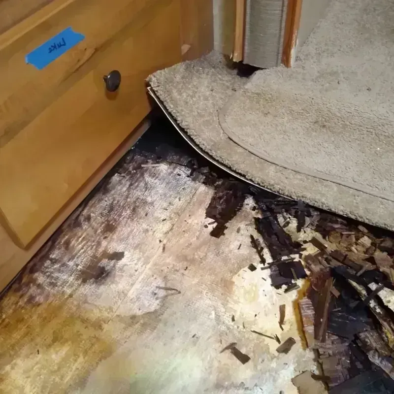 Wood Floor Water Damage in Webb County, TX